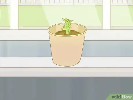 Image titled Plant a Shrub Step 17