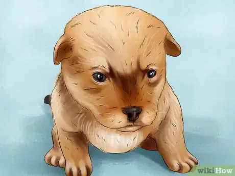 Image titled Track the Development of New Puppies Step 6