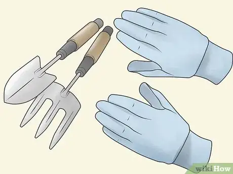 Image titled Grow Impatiens Step 4