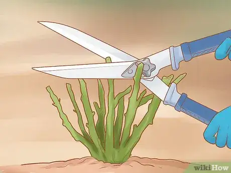 Image titled Prune Flowers Step 3