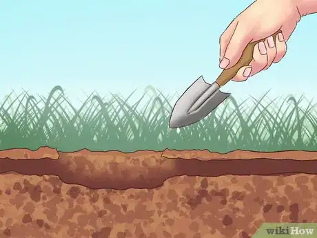 Image titled Catch Moles Step 8