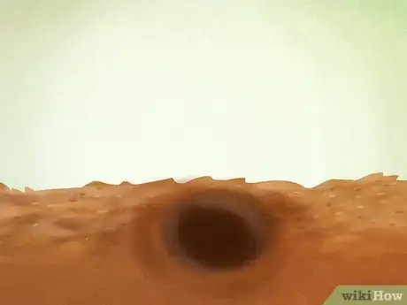 Image titled Plant a Clumping Bamboo Step 6