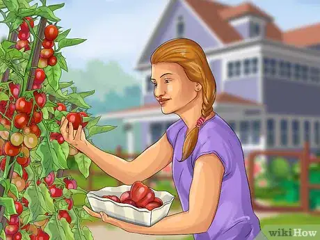 Image titled Legally Get Food for Free or Cheap Step 10