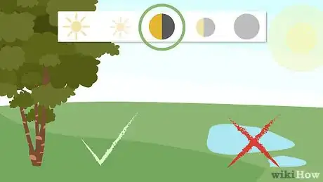 Image titled Plant Lily of the Valley Step 1