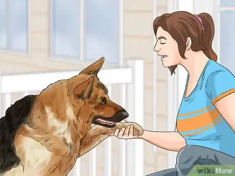 Image titled Exercise Your Dog Step 5