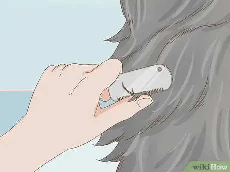 Image titled Groom an Affenpinscher Step 5