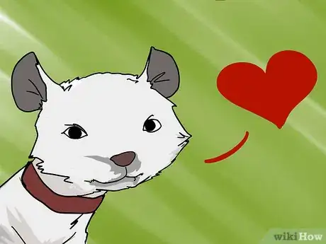 Image titled Look After a Deaf Ferret Step 3