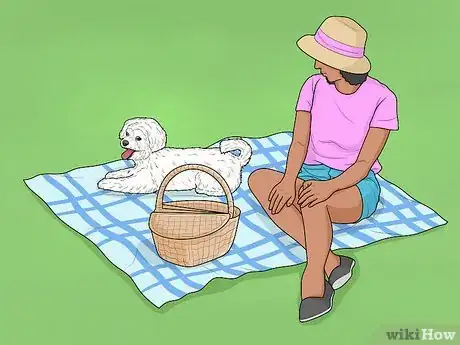 Image titled Choose a Dog‐Friendly Vacation Destination Step 7