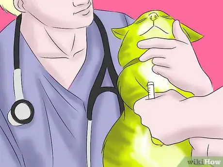 Image titled Help a Cat with Epileptic Seizures Step 12