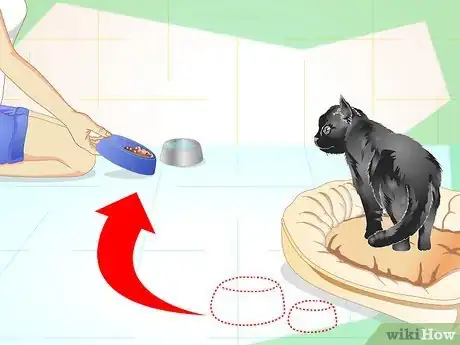 Image titled Care for an Overweight Cat Step 11