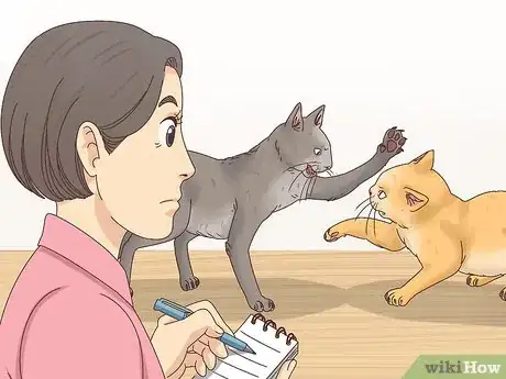 Image titled Countercondition a Cat Step 1