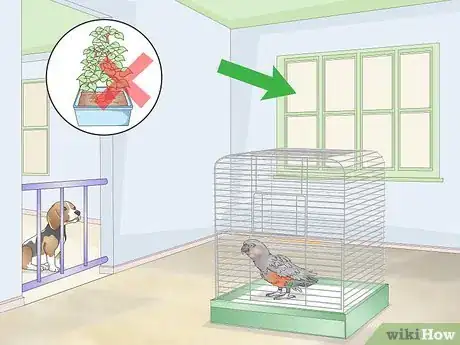 Image titled Keep a Red Bellied Parrot Entertained Step 6