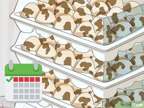 Image titled Raise Quail for Eggs Step 30