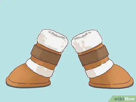 Image titled Help Your Dog Move in the Snow Step 6