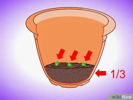 Image titled Plant Aquatic Plants Step 10