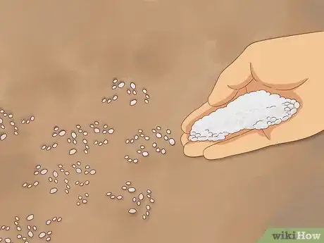 Image titled Grow Cucumbers Step 4