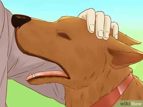 Image titled Train Your Dog With Silent Signals Step 11