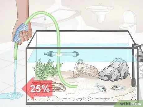 Image titled Keep German Blue Ram Cichlids Step 14