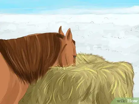 Image titled Keep Your Pets Safe in Winter Step 15