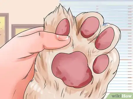 Image titled Groom a Longhair Dog Step 18