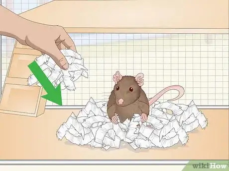 Image titled Provide Hiding Places for a Pet Rat Step 6