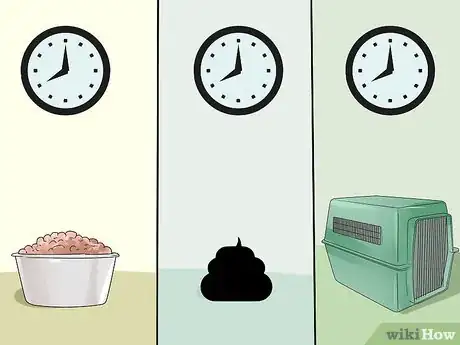 Image titled House Train Your Dog in Less than a Week Step 7