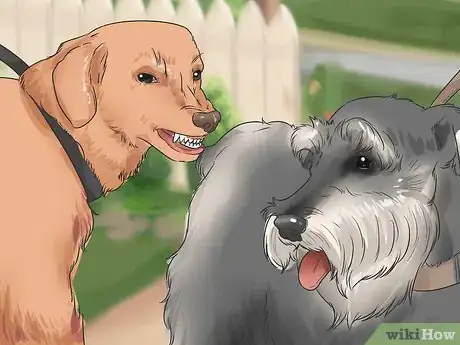 Image titled Introduce Your New Dog to Dogs in the Neighborhood Step 9