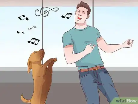 Image titled Exercise With Your Dog Step 21