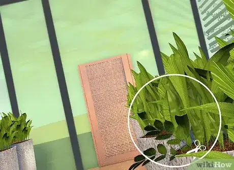 Image titled Maintain a Greenhouse Step 13