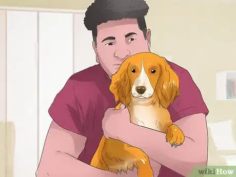 Image titled Treat Canine Periodontal Disease Step 8