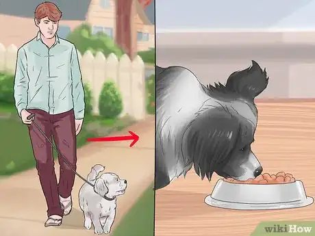 Image titled Improve the Appetite of an Older Dog Step 10