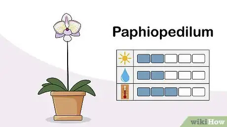 Image titled Choose an Orchid Plant Step 4