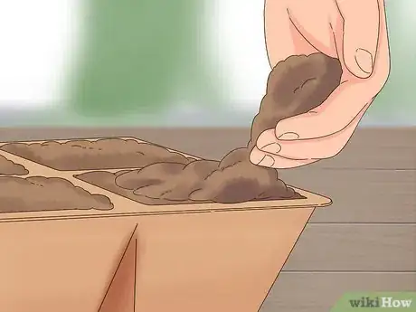 Image titled Grow Dichondra Step 5