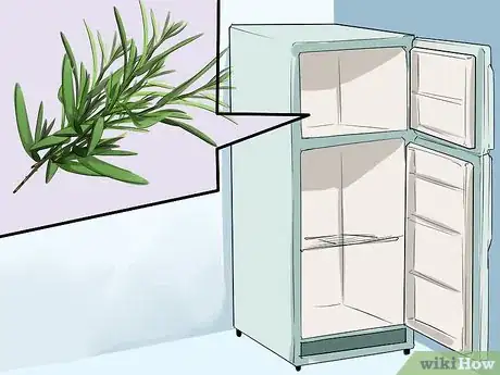 Image titled Grow Tarragon Step 15