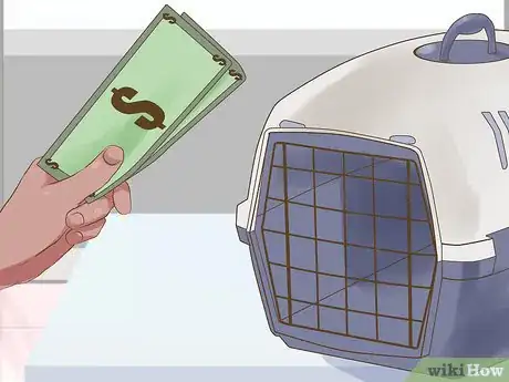 Image titled Include Your Dog in an Emergency Disaster Plan Step 4