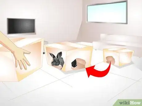 Image titled Keep Your Rabbit Slim Step 5