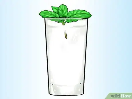 Image titled Grow Mint in a Pot Step 9