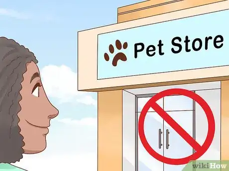 Image titled Choose an Amazon Parrot Step 13