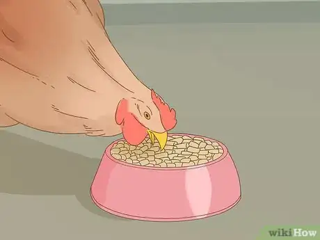 Image titled Keep a Pet Chicken Step 8