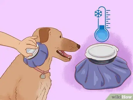 Image titled Treat an Insect Bite on a Dog Step 3