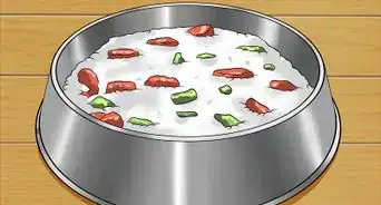 Prepare a Healthy Meal for Your Pet Dog