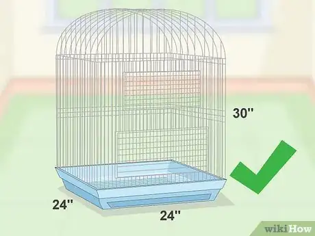 Image titled House a Hawk‐Headed Parrot Step 1