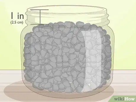 Image titled Force Daffodils Indoors Step 17