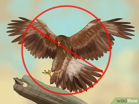 Image titled Use a Backyard Bird Feeder Step 24