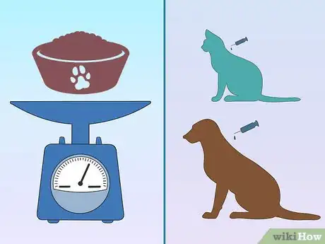 Image titled Have a Successful Visit to the Vet Step 4