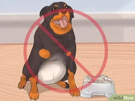 Image titled Diagnose Arthritis in Rottweilers Step 13