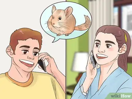 Image titled Find a Vet for Your Chinchilla Step 4