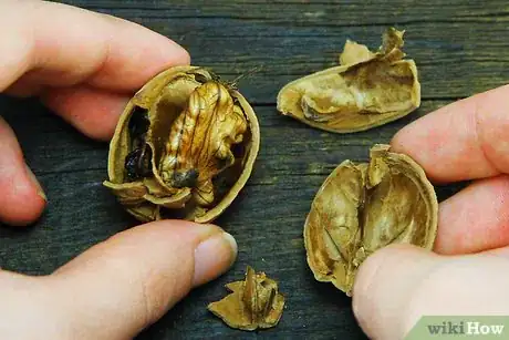 Image titled Cook with Nuts Step 1