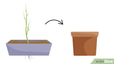 Image titled Grow Birch Trees Step 12
