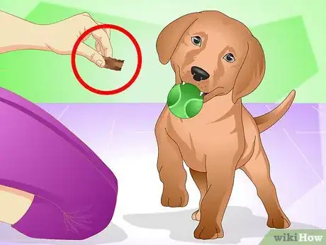 Image titled Discipline a New Puppy Step 6